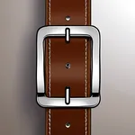 brown belt with silver buckle image